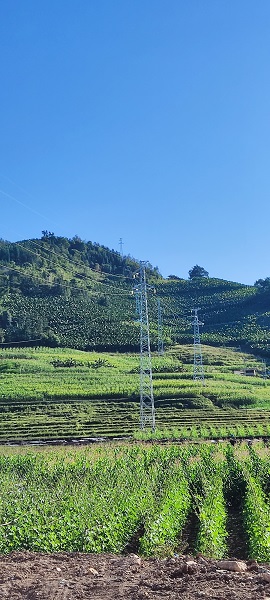 1638170336202001192.jpg 新建線路.jpg