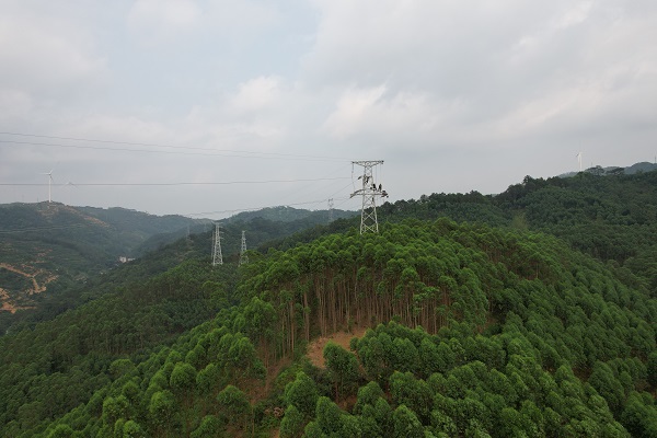 1681953787224096819.jpg 9號(hào)緊線.jpg